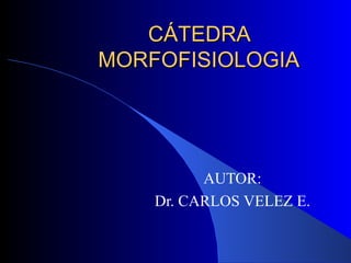CÁTEDRA
MORFOFISIOLOGIA




          AUTOR:
    Dr. CARLOS VELEZ E.
 