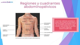 Regiones y cuadrantes
abdominopélvicos
El primer método consiste en
trazar dos líneas horizontales y
dos verticales, alineadas como
en un tablero de tres en raya
(tatetí), que dividen la cavidad
en nueve regiones
abdominopélvicas
 