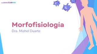 Morfofisiología
Dra. Mishel Duarte
 