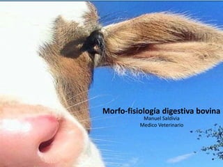 Morfo-fisiología digestiva bovina
Manuel Saldivia
Medico Veterinario
 