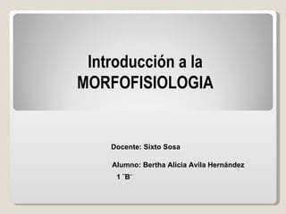 Introducción a la MORFOFISIOLOGIA Alumno: Bertha Alicia Avila Hernández 1 ¨B ¨ Docente: Sixto Sosa 