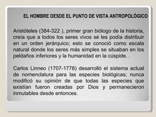 EL HOMBRE DESDE EL PUNTO DE VISTA ANTROPOLÓGICO   Aristóteles (384-322 ), primer gran biólogo de la historia, creía que a todos los seres vivos sé les podía distribuir en un orden jerárquico; esto se conoció como escala natural donde los seres más simples se situaban en los peldaños inferiores y la humanidad en la cúspide. . Carlos Linneo (1707-1778) desarrolló el sistema actual de nomenclatura para las especies biológicas; nunca modificó su opinión de que todas las especies que existían fueron creadas por Dios y permanecieron inmutables desde entonces. 