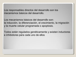 Los responsables directos del desarrollo son los mecanismos básicos del desarrollo. Los mecanismos básicos del desarrollo son:  la inducción, la diferenciación, el crecimiento, la migración y la muerte celular programada o apoptosis. Todos están regulados genéticamente y existen inductores e inhibidores para cada uno de ellos   