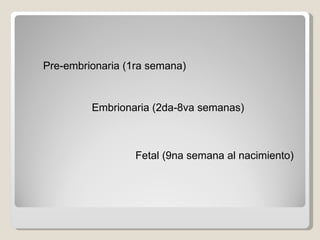 Pre-embrionaria (1ra semana)   Embrionaria (2da-8va semanas)   Fetal (9na semana al nacimiento)   