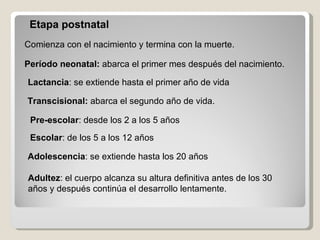 Etapa postnatal   Comienza con el nacimiento y termina con la muerte. Período neonatal:  abarca el primer mes después del nacimiento.  Lactancia : se extiende hasta el primer año de vida   Transcisional:  abarca el segundo año de vida.   Pre-escolar : desde los 2 a los 5 años   Escolar : de los 5 a los 12 años   Adolescencia : se extiende hasta los 20 años   Adultez : el cuerpo alcanza su altura definitiva antes de los 30  años y después continúa el desarrollo lentamente.   