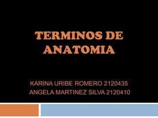 TERMINOS DE
  ANATOMIA

KARINA URIBE ROMERO 2120435
ANGELA MARTINEZ SILVA 2120410
 