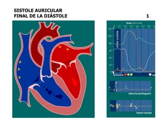 SISTOLE AURICULAR
FINAL DE LA DIÁSTOLE 1