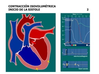 CONTRACCIÓN ISOVOLUMÉTRICA
INICIO DE LA SISTOLE 2