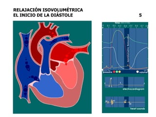 RELAJACIÓN ISOVOLUMÉTRICA
EL INICIO DE LA DIÁSTOLE 5