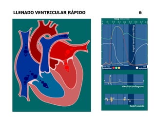 LLENADO VENTRICULAR RÁPIDO 6