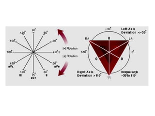 MORFOFISIOLOGIA CARDIACO.pdf