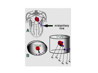 MORFOFISIOLOGIA CARDIACO.pdf