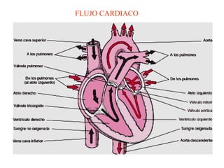 FLUJO CARDIACO