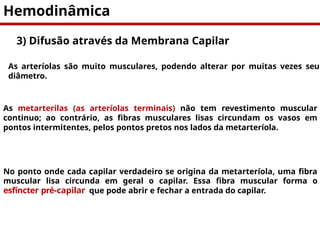 Morfofisiologia Cardivascular - Fisioterapia | PPTX