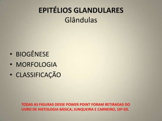 EPITÉLIOS GLANDULARESGlândulas BIOGÊNESE MORFOLOGIA CLASSIFICAÇÃO TODAS AS FIGURAS DESSE POWER POINT FORAM RETIRADAS DO LIVRO DE HISTOLOGIA BÁSICA; JUNQUEIRA E CARNEIRO, 10ª ED.  