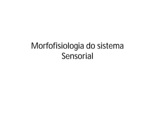 Morfofisiologia do sistema
Sensorial

 