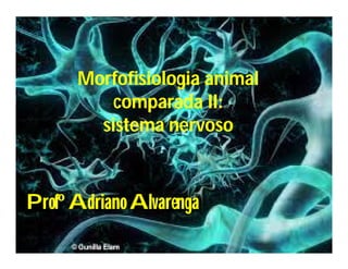 Morfofisiologia animal
comparada II:
sistema nervoso

Profº Adriano Alvarenga

 