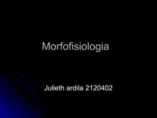 Morfofisiologia


Julieth ardila 2120402
 