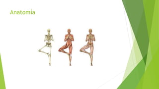 Anatomía
 
