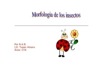 Morfologia de los insectos Por R.A.B I.E. Tupac Amaru Área: CTA 