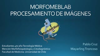 Estudiantes 4to añoTecnología Médica
Mención Morfofisiopatología y Citodiagnóstico
Facultad de Medicina. Universidad de Chile
 