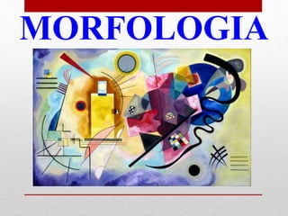 MORFOLOGIA 
 