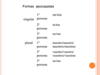 singular
1ª
persona
mi/mis
2ª
persona
tu/tus
3ª
persona
su/sus
plural 1ª
persona
nuestro/nuestra/
nuestros/nuestras
2ª
persona
vuestro/vuestra/
vuestros/vuestras
3ª
persona
su/sus
Formas apocopadas
 