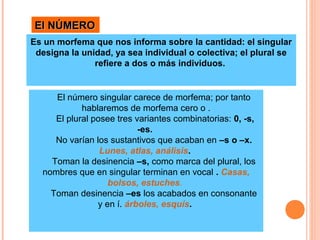 El número singular carece de morfema; por tanto
hablaremos de morfema cero o .
El plural posee tres variantes combinatorias: 0, -s,
-es.
No varían los sustantivos que acaban en –s o –x.
Lunes, atlas, análisis.
Toman la desinencia –s, como marca del plural, los
nombres que en singular terminan en vocal . Casas,
bolsos, estuches.
Toman desinencia –es los acabados en consonante
y en í. árboles, esquís.
El NÚMEROEl NÚMERO
Es un morfema que nos informa sobre la cantidad: el singular
designa la unidad, ya sea individual o colectiva; el plural se
refiere a dos o más individuos.
 