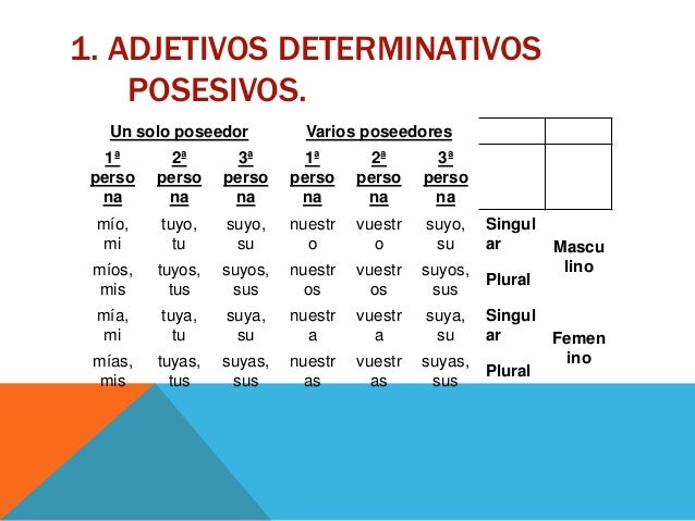 Morfologa determinativo