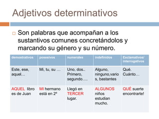 Adjetivos determinativosSon palabras que acompañan a los sustantivos comunes concretándolos y marcando su género y su número.