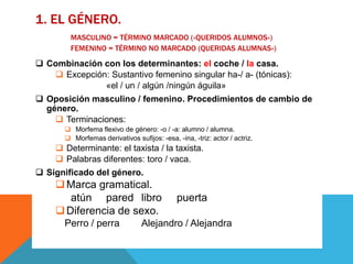 1. EL GÉNERO.
         MASCULINO = TÉRMINO MARCADO («QUERIDOS ALUMNOS»)
         FEMENINO = TÉRMINO NO MARCADO (QUERIDAS ALUMNAS»)

 Combinación con los determinantes: el coche / la casa.
    Excepción: Sustantivo femenino singular ha-/ a- (tónicas):
              «el / un / algún /ningún águila»
 Oposición masculino / femenino. Procedimientos de cambio de
  género.
     Terminaciones:
        Morfema flexivo de género: -o / -a: alumno / alumna.
        Morfemas derivativos sufijos: -esa, -ina, -triz: actor / actriz.
     Determinante: el taxista / la taxista.
     Palabras diferentes: toro / vaca.
 Significado del género.
     Marca gramatical.
       atún pared libro                       puerta
     Diferencia de sexo.
       Perro / perra             Alejandro / Alejandra
 