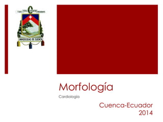 Morfología
Cardiología
Cuenca-Ecuador
2014
 