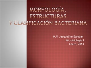 M.V. Jacqueline Escobar
Microbiología I
Enero, 2013

 