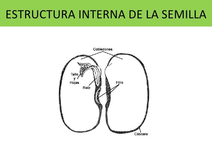 Que Es M D L R