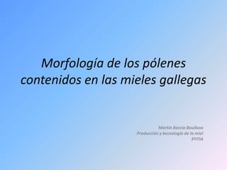 Morfología de los pólenes
contenidos en las mieles gallegas
Martín Barcia Boullosa
Producción y tecnología de la miel
3ºITIA
 
