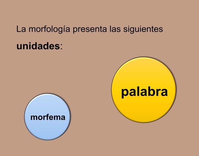 Morfología flexiva y léxica. ANTONIO FLORES QUISPE. LINGÜÍSTICA.