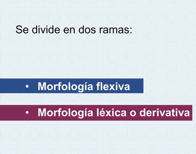 Morfología flexiva y léxica. ANTONIO FLORES QUISPE. LINGÜÍSTICA.