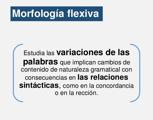 Morfología flexiva y léxica. ANTONIO FLORES QUISPE. LINGÜÍSTICA.
