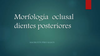 Morfología oclusal
dientes posteriores
MAURICETTE PÉREZ RAMOS
 