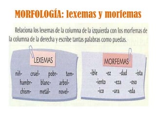 MORFOLOGÍA: lexemas y morfemas 
