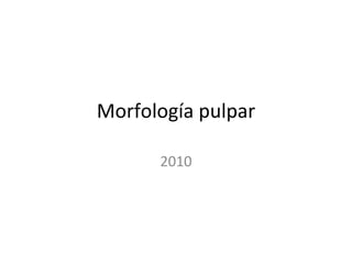 Morfología pulpar 2010 