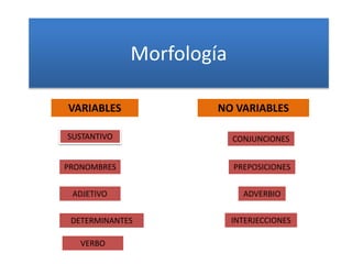 Morfología 
VARIABLES NO VARIABLES 
SUSTANTIVO 
PRONOMBRES 
PREPOSICIONES 
ADJETIVO ADVERBIO 
VERBO 
CONJUNCIONES 
DETERMINANTES 
INTERJECCIONES 
 