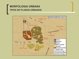 MORFOLOGIA URBANA TIPOS DE PLANOS URBANOS 