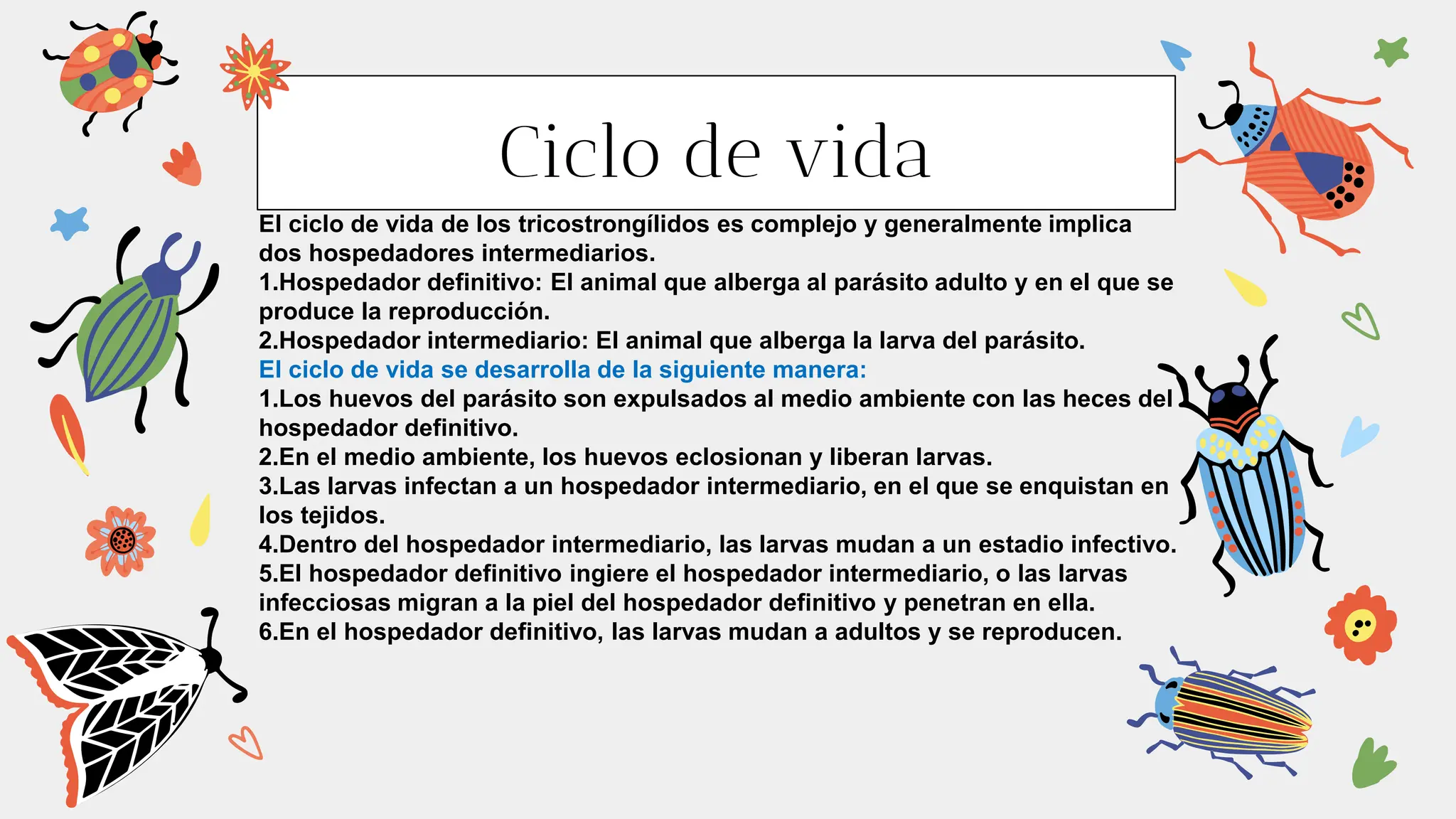 Morfología y ciclo de SUPERFAMILIA Trichostrongyloidea, Haemonchus ...