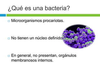 ¿Qué es una bacteria? 
 Microorganismos procariotas. 
 No tienen un núcleo definido. 
 En general, no presentan, orgánulos 
membranosos internos. 
 