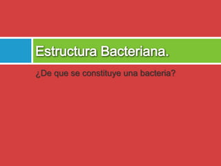 ¿De que se constituye una bacteria? 
 