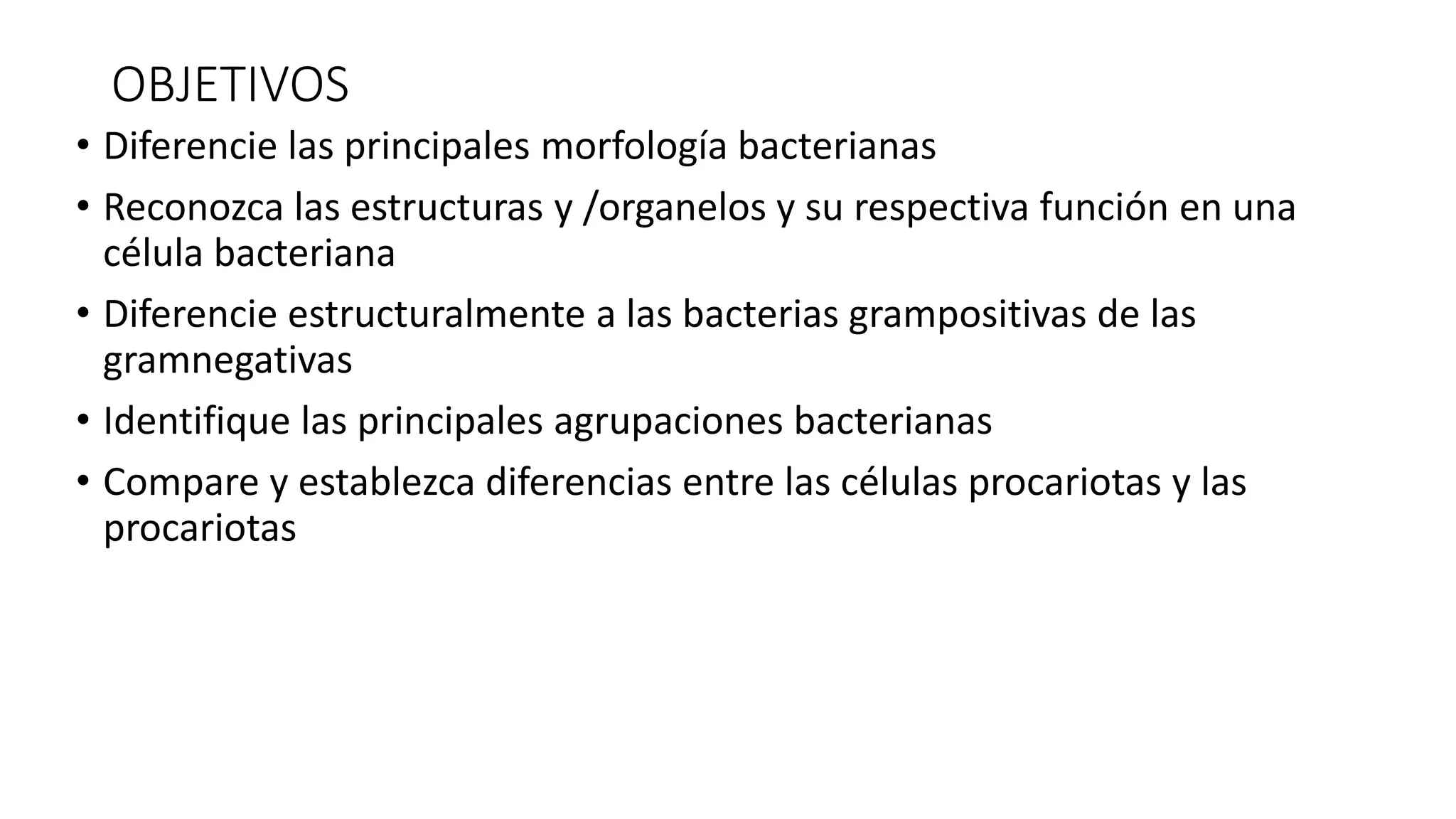 MORFOLOGÍA Y ESTRUCTURA BACTERIANA 2020.pdf