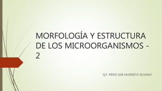 MORFOLOGÍA Y ESTRUCTURA
DE LOS MICROORGANISMOS -
2
Q.F. PIERO JAIR MURRIETA SILVANO
 