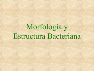 Morfología y
Estructura Bacteriana
 