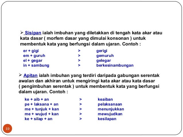 Morfologi